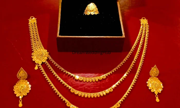 Vasu Bhai Chain Wala